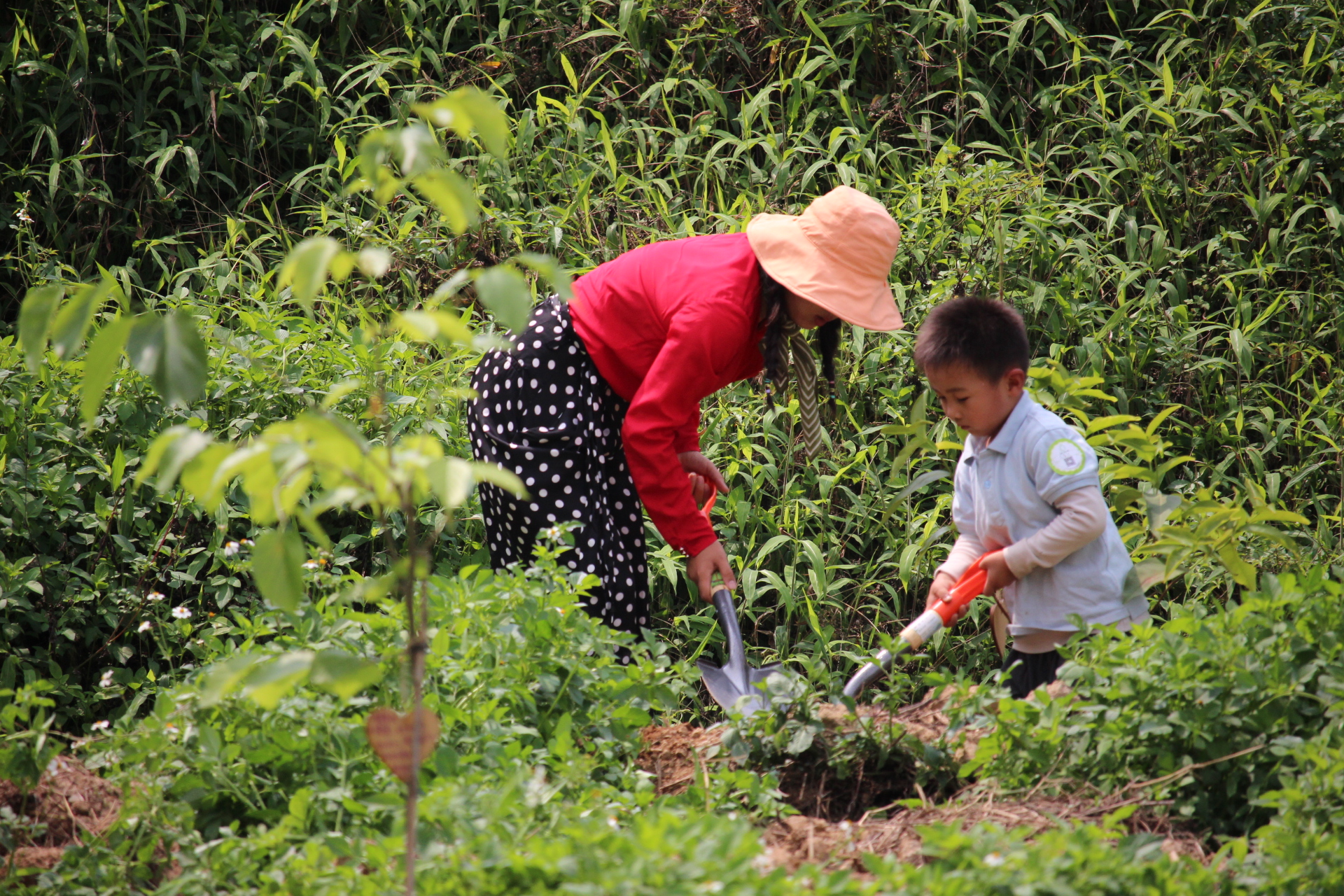 What kind of experience