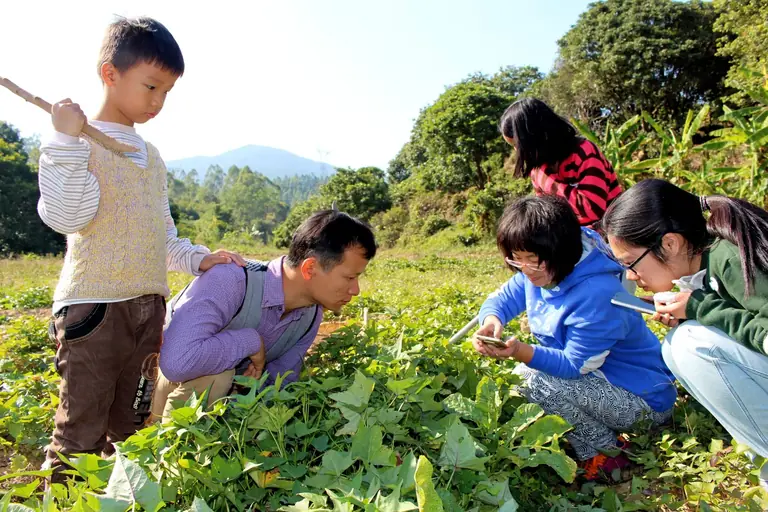 learning how to observe nature