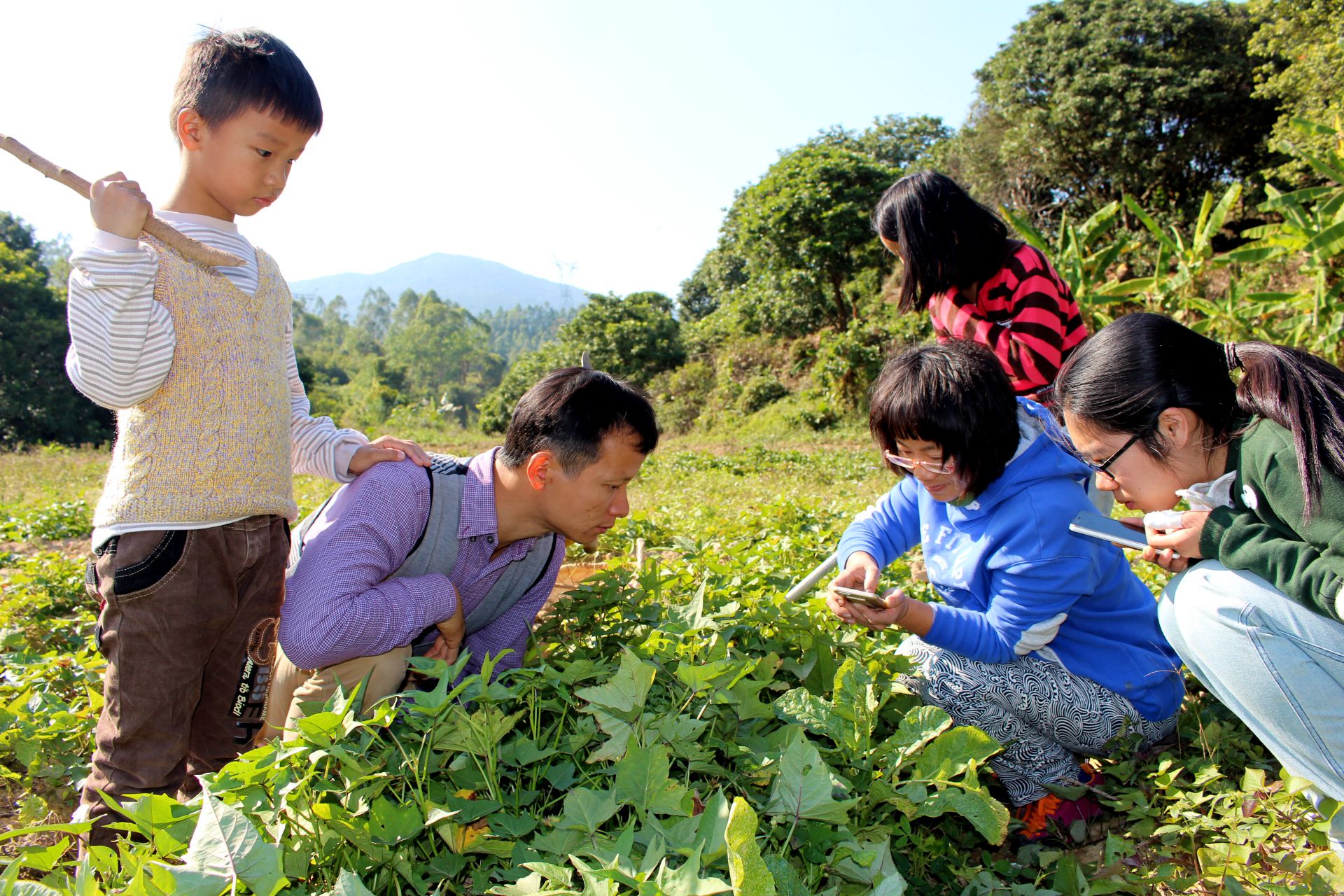 learning how to observe nature