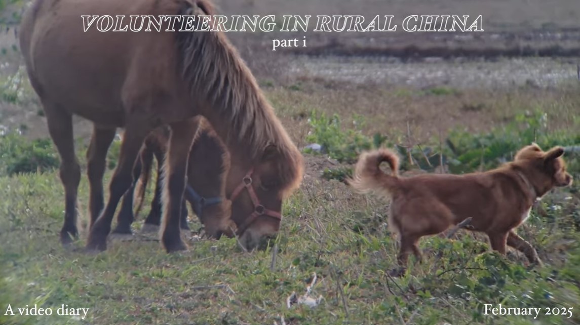 Former volunteer's 2025 video