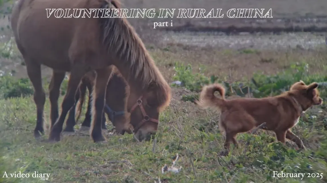 Gráinne's 2025 video