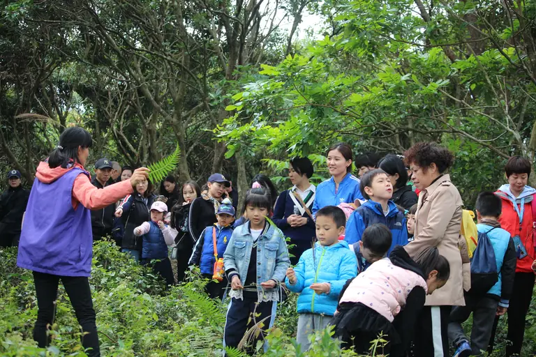 group walking in the forest