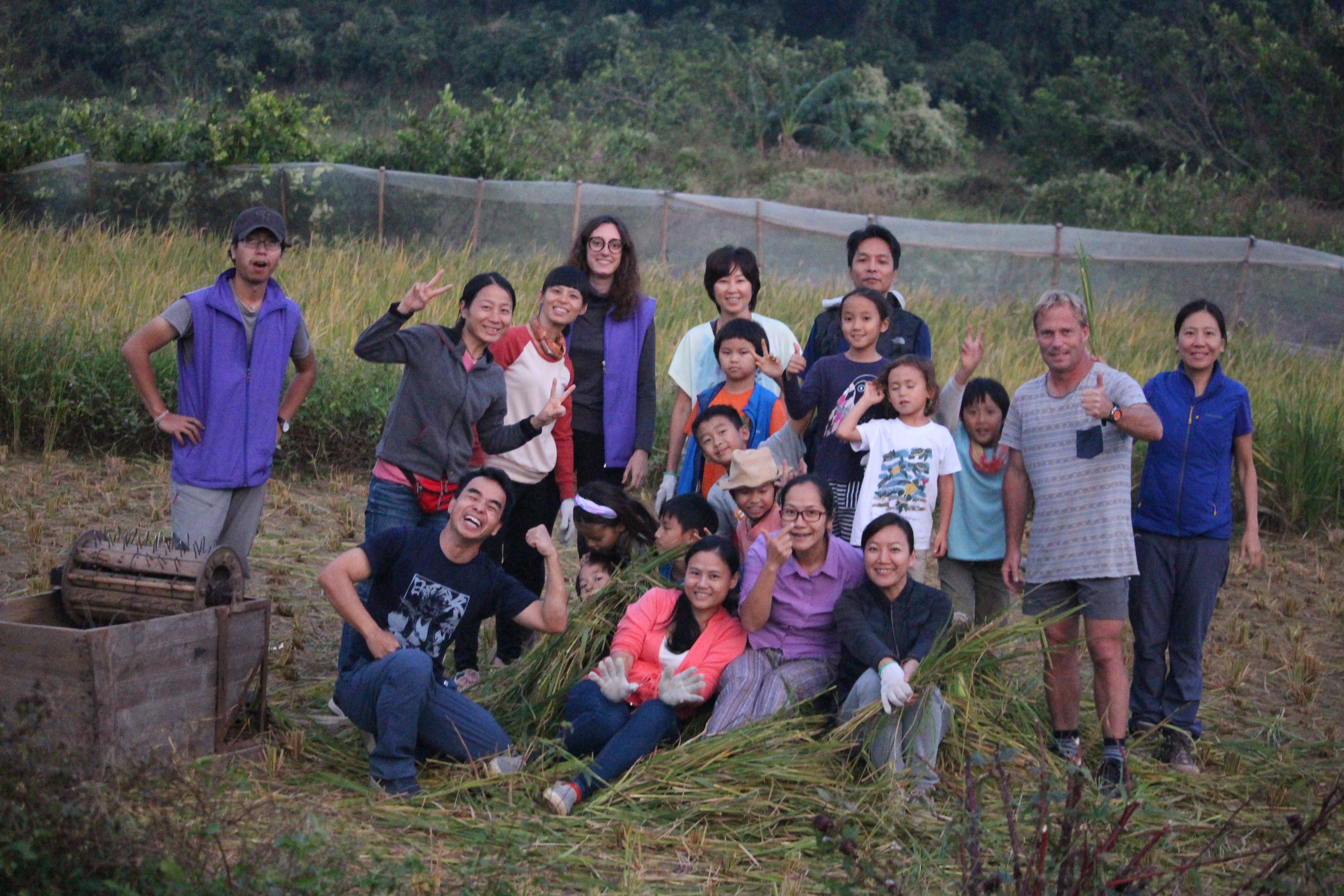 harvesting activity with foreigners