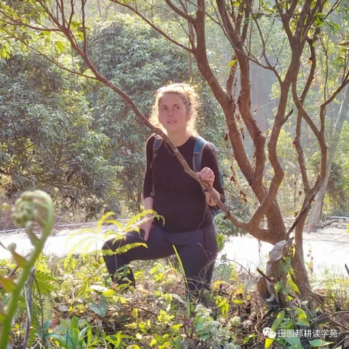 Jana's Weixin article