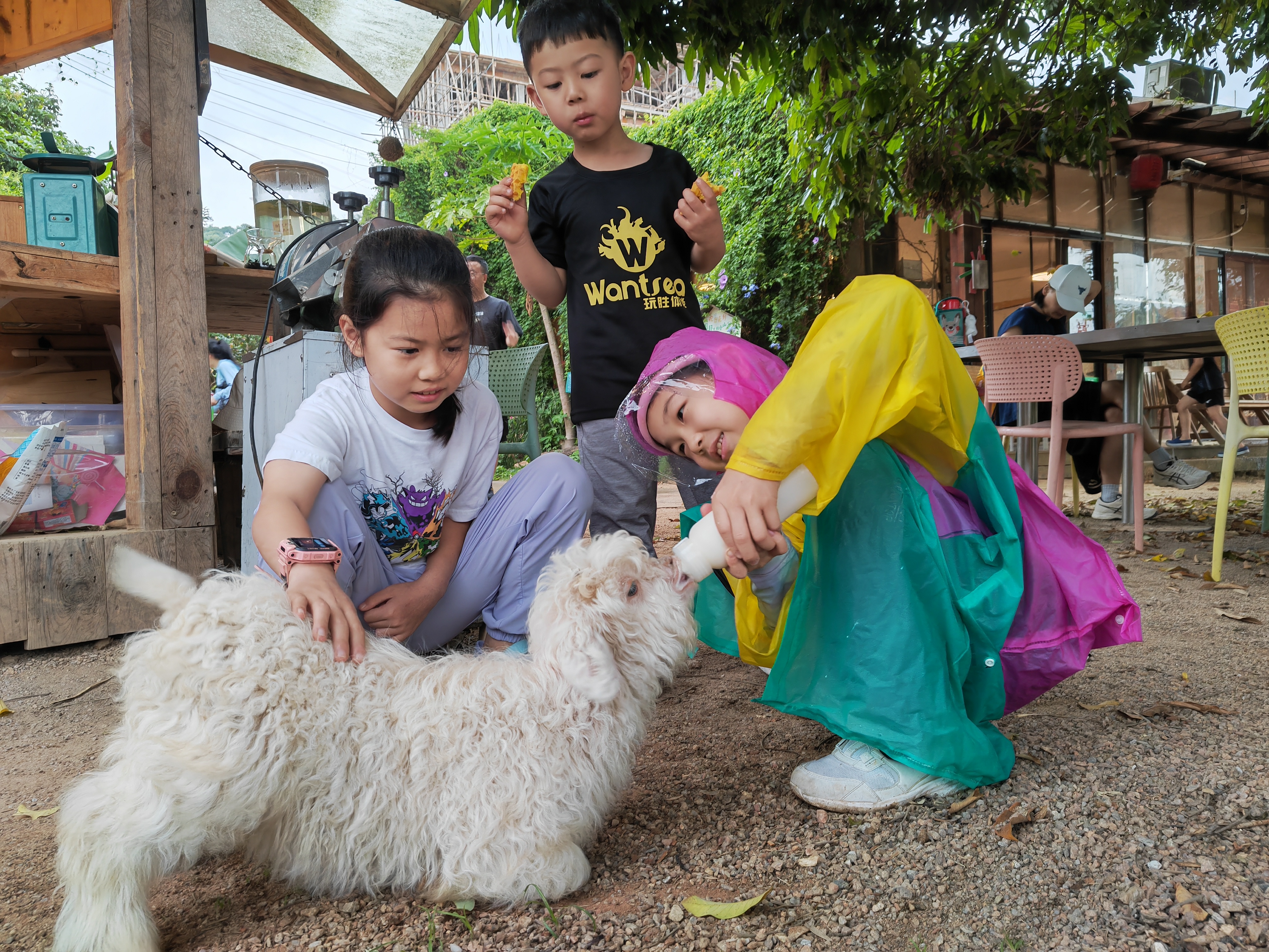kids with baby goat
